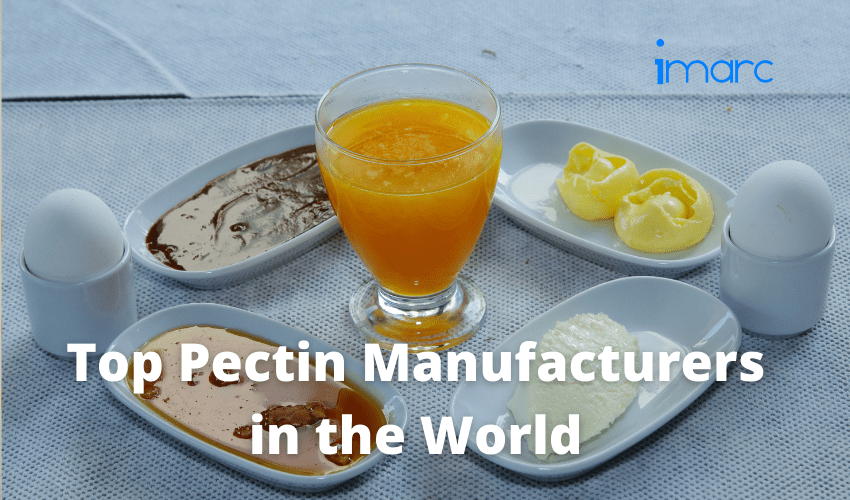 Top Pectin Manufacturers in the World